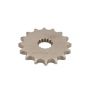 Pinion fata
