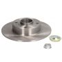 Brake disk with bearing