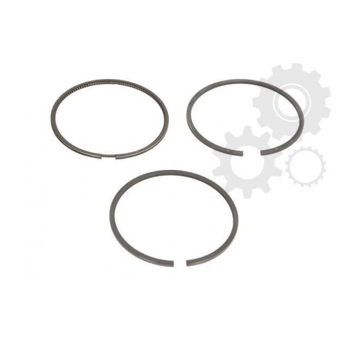 Segmenti piston