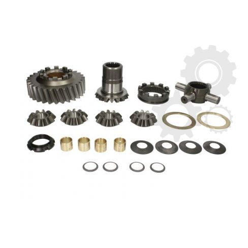 Differential assembly repair kit Differential assembly repair kit