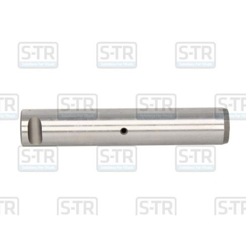 Leaf spring bolt