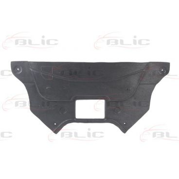 Scut motor/cutie viteze