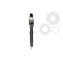 Injector electromagnetic CR