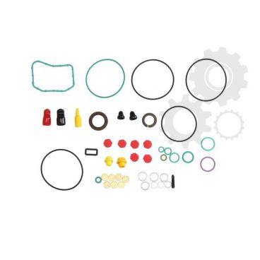 Kit reparatie pompa de injectie