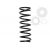 Arc suspensie axa spate