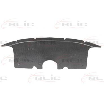 Scut motor/cutie viteze