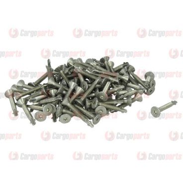 Galvanized screws