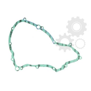 Garnitura alternator