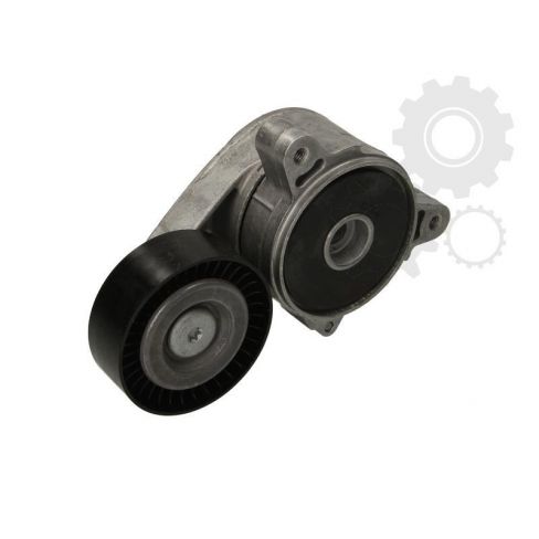 Intinzator curea Intinzator curea