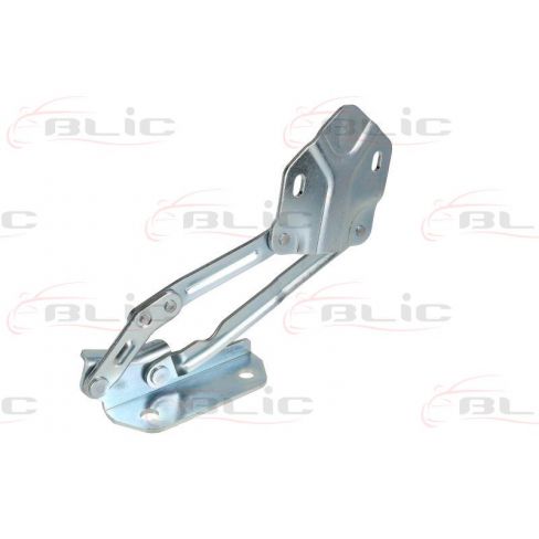 Elemente capota motor Elemente capota motor