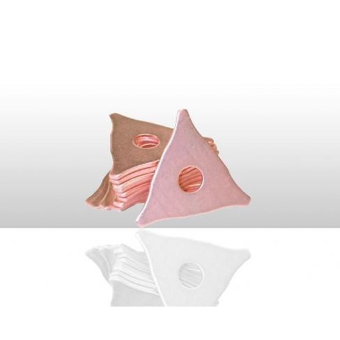 Accesorii si piese pentru sudarea In puncte Accesorii si piese pentru sudarea In puncte