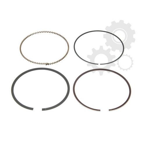 Segmenti piston