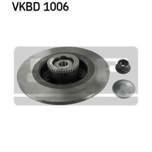 Brake disk with bearing