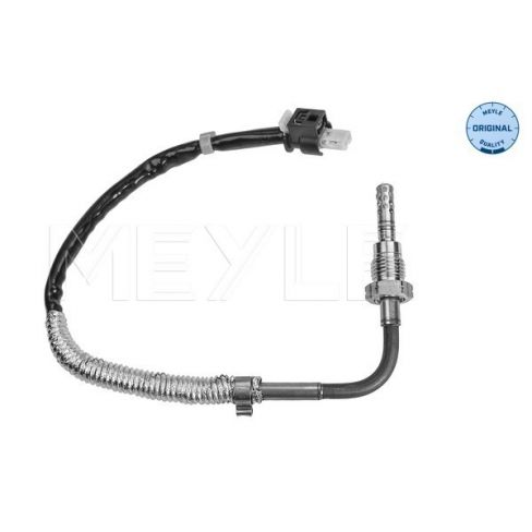 Senzor temperatura evacuare Senzor temperatura evacuare