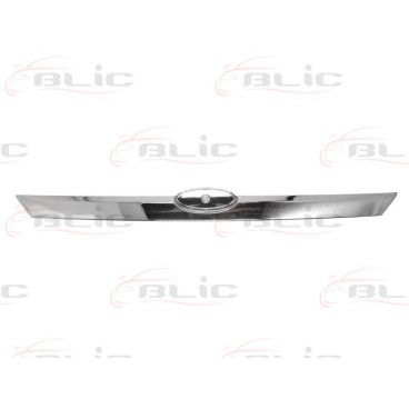 Capota portbagaj/elemente usa spate