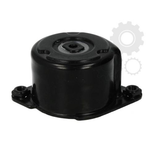 Intinzator curea Intinzator curea