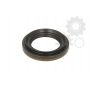 Garnitura diferential