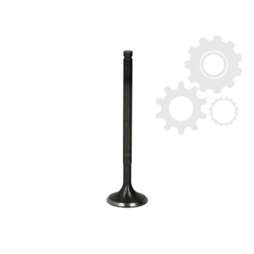 Supape/pastile reglaj