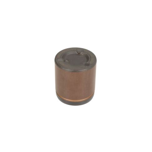 Piston etrier Piston etrier