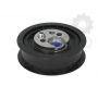 Intinzator curea distributie