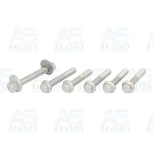 Kit reparatie bascula Kit reparatie bascula
