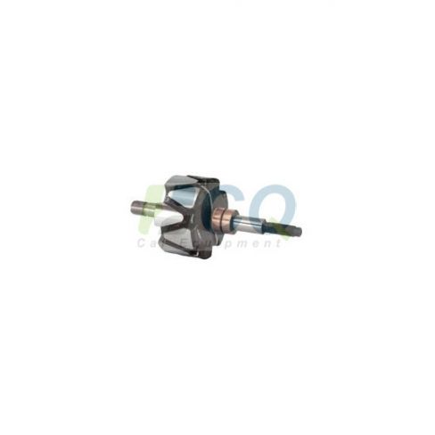 Rotor alternator