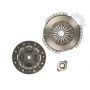 Clutch kit with bearing
