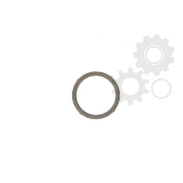 Garnitura supapa EGR