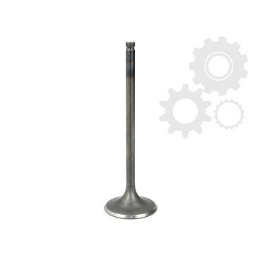 Supape/pastile reglaj