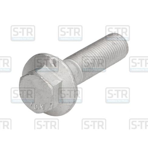 Raw Hex bolts