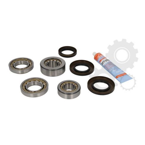 Set reparatie diferential BMW Set reparatie diferential BMW