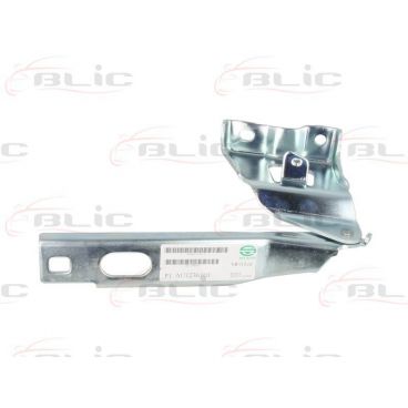 Elemente capota motor