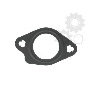 Garnitura supapa EGR