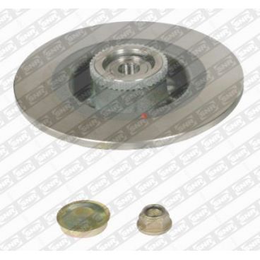 Brake disk with bearing