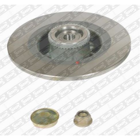 Brake disk with bearing