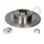 Brake disk with bearing