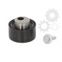 Intinzator curea distributie