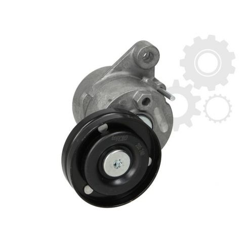 Intinzator curea Intinzator curea