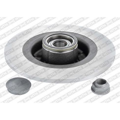 Brake disk with bearing