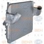 Radiator aer