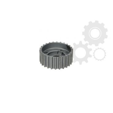 Pinion ax cu came/roata dintata