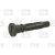 Leaf spring bolt
