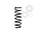 Arc suspensie axa spate