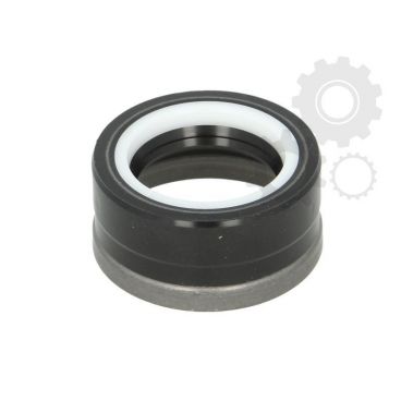 Simering/etansare caseta directie