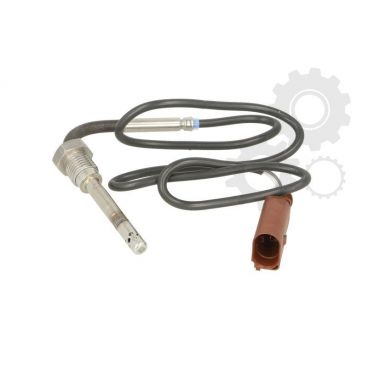 Senzor temperatura evacuare