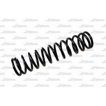 Arc suspensie axa spate