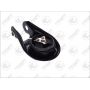 Consola fixare motor