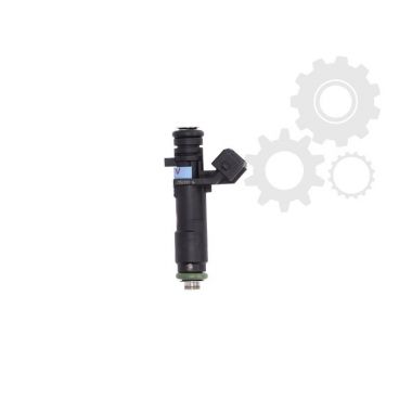 Injector combustibil