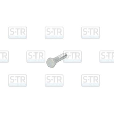 Galvanized Hex bolts