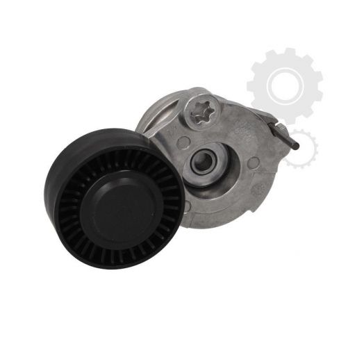 Intinzator curea Intinzator curea